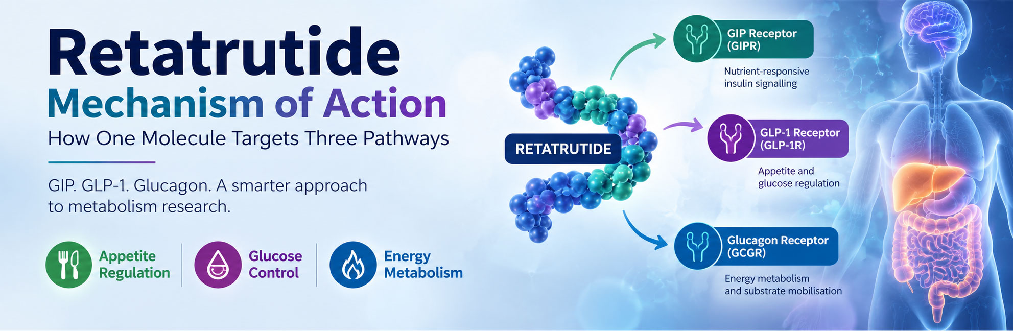 glutathione and retatrutide Mechanism of Action: How Does It Work? BPC-157 and TB-500: Investigating
